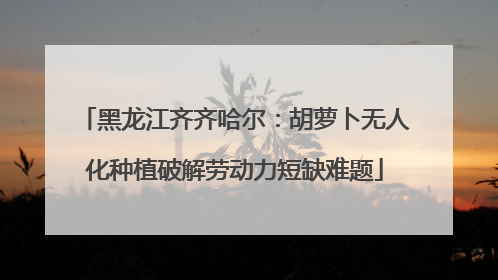 黑龙江齐齐哈尔：胡萝卜无人化种植破解劳动力短缺难题