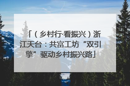 （乡村行·看振兴）浙江天台：共富工坊“双引擎”驱动乡村振兴路