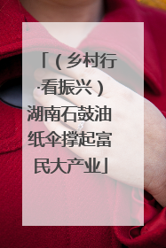 （乡村行·看振兴）湖南石鼓油纸伞撑起富民大产业