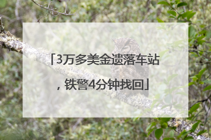 3万多美金遗落车站，铁警4分钟找回