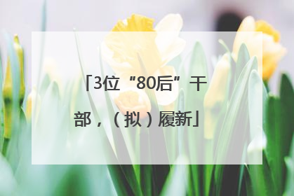 3位“80后”干部，（拟）履新