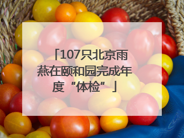 107只北京雨燕在颐和园完成年度“体检”