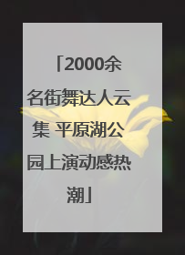 2000余名街舞达人云集 平原湖公园上演动感热潮