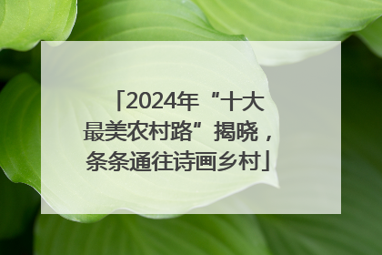 2024年“十大最美农村路”揭晓，条条通往诗画乡村