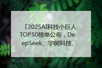 2025AI科技小巨人TOP50榜单公布，DeepSeek、宇树科技、蘑菇车联等企业荣誉上榜