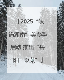 2025“味道湖南”美食季启动 推出“岳阳一桌菜”