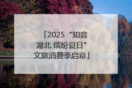 2025“知音湖北 缤纷夏日”文旅消费季启幕