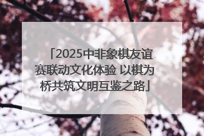 2025中非象棋友谊赛联动文化体验 以棋为桥共筑文明互鉴之路