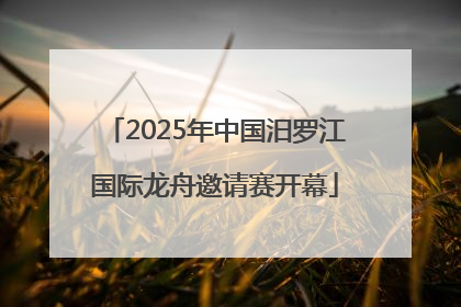 2025年中国汨罗江国际龙舟邀请赛开幕