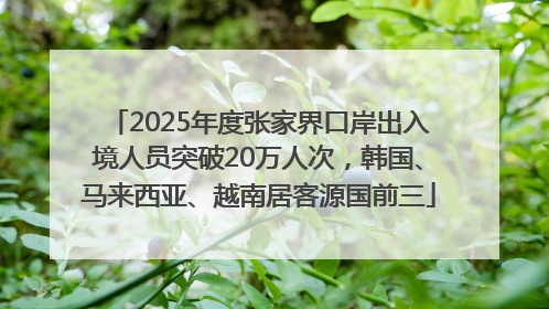 2025年度张家界口岸出入境人员突破20万人次，韩国、马来西亚、越南居客源国前三