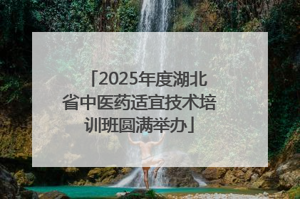 2025年度湖北省中医药适宜技术培训班圆满举办