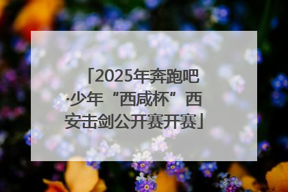 2025年奔跑吧·少年“西咸杯”西安击剑公开赛开赛