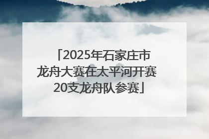 2025年石家庄市龙舟大赛在太平河开赛 20支龙舟队参赛
