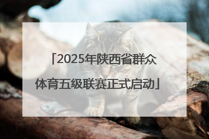 2025年陕西省群众体育五级联赛正式启动