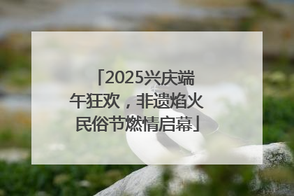 2025兴庆端午狂欢，非遗焰火民俗节燃情启幕