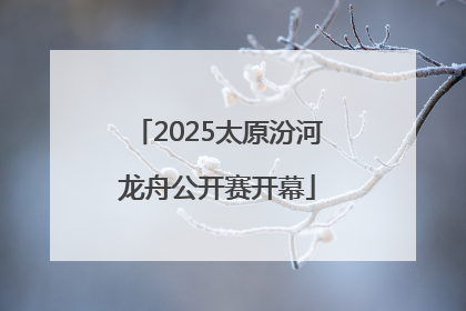 2025太原汾河龙舟公开赛开幕