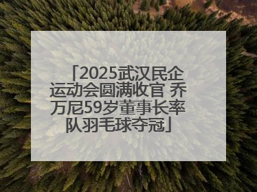 2025武汉民企运动会圆满收官 乔万尼59岁董事长率队羽毛球夺冠