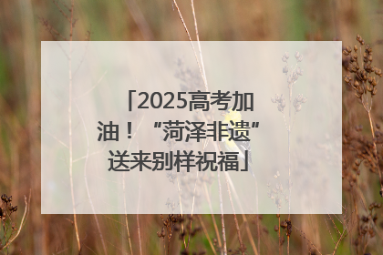 2025高考加油！“菏泽非遗”送来别样祝福