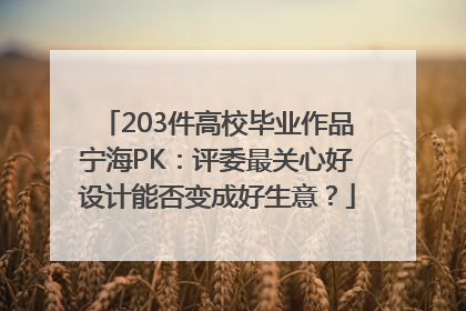 203件高校毕业作品宁海PK：评委最关心好设计能否变成好生意？