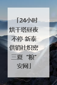 24小时烘干塔昼夜不停 新泰供销社织密三夏“粮”安网