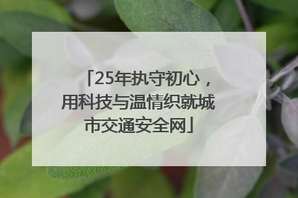 25年执守初心，用科技与温情织就城市交通安全网