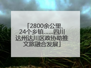 2800余公里、24个乡镇……四川达州达川区政协助推文旅融合发展