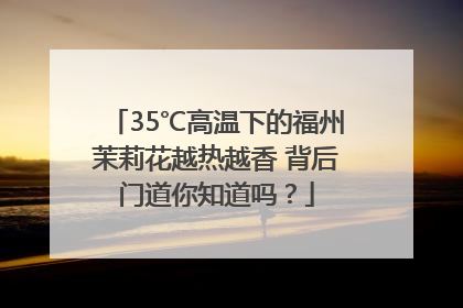 35℃高温下的福州茉莉花越热越香 背后门道你知道吗？