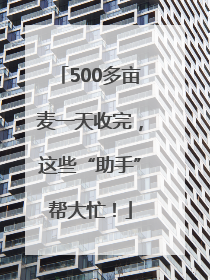 500多亩麦一天收完，这些“助手”帮大忙！