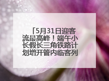 5月31日迎客流最高峰！端午小长假长三角铁路计划增开管内临客列车139对
