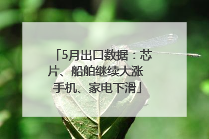 5月出口数据：芯片、船舶继续大涨 手机、家电下滑