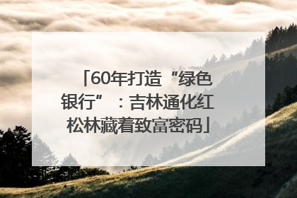 60年打造“绿色银行”：吉林通化红松林藏着致富密码