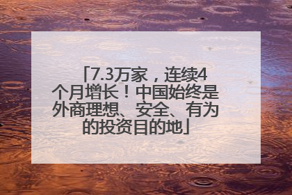 7.3万家，连续4个月增长！中国始终是外商理想、安全、有为的投资目的地