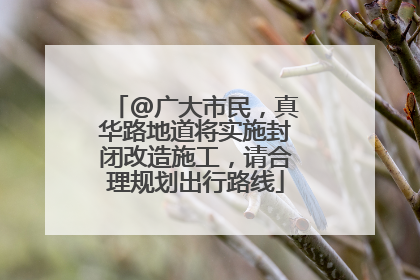 @广大市民，真华路地道将实施封闭改造施工，请合理规划出行路线