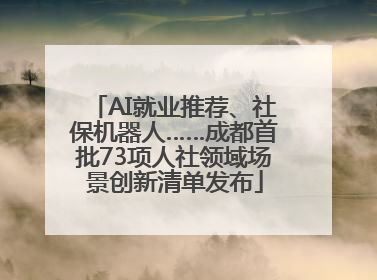 AI就业推荐、社保机器人……成都首批73项人社领域场景创新清单发布