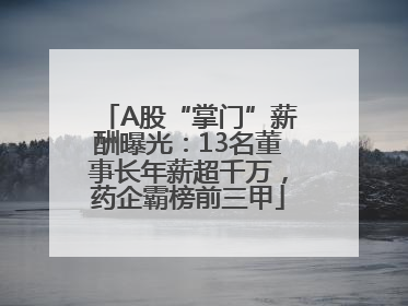 A股“掌门”薪酬曝光：13名董事长年薪超千万，药企霸榜前三甲