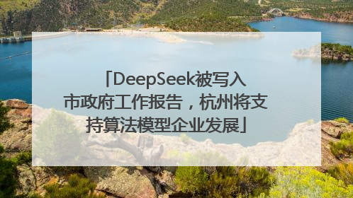 DeepSeek被写入市政府工作报告，杭州将支持算法模型企业发展